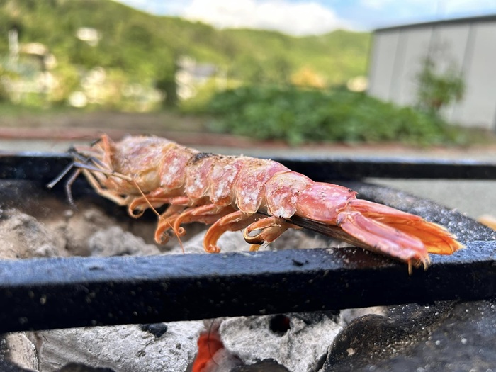 七輪でエビを炭火焼きしている光景