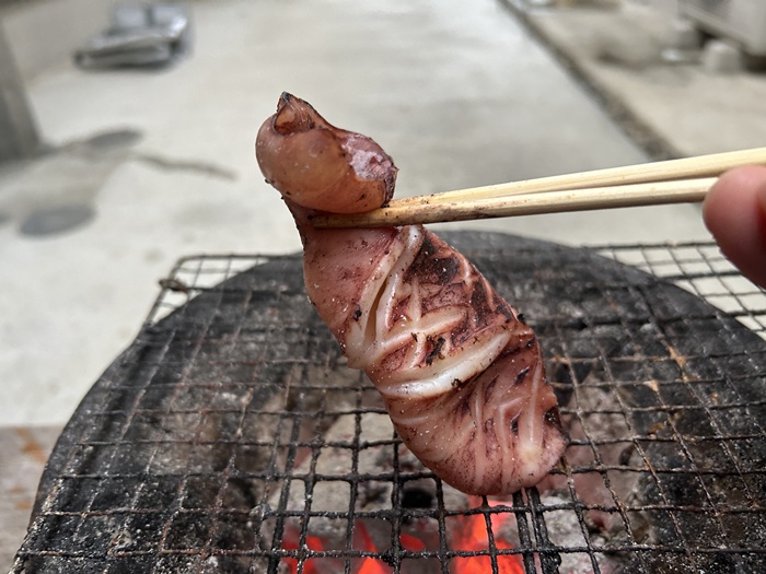 七輪でスルメイカを焼いている光景